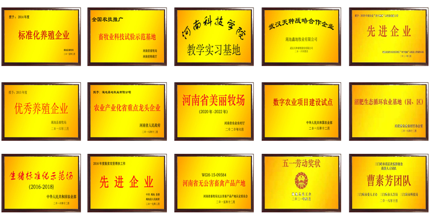 資質榮譽